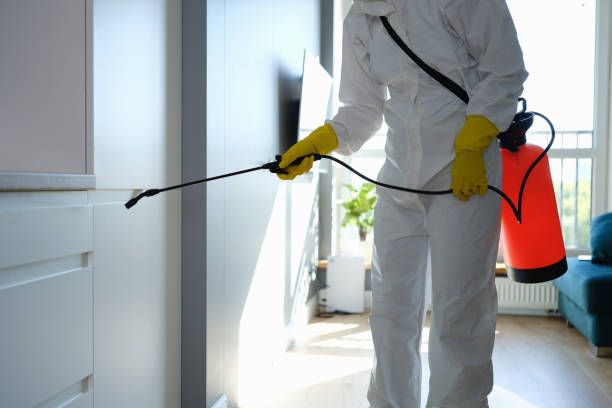 Best Residential Mold Removal  in Brent, FL